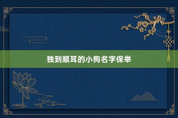 独到顺耳的小狗名字保举