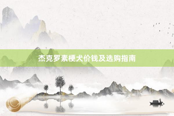 杰克罗素梗犬价钱及选购指南