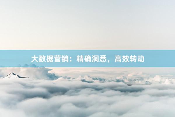 大数据营销：精确洞悉，高效转动